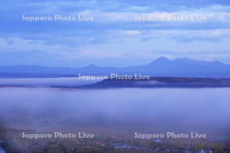 釧路湿原の朝モヤの風景