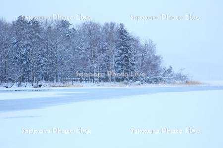 雪の阿寒湖の風景
