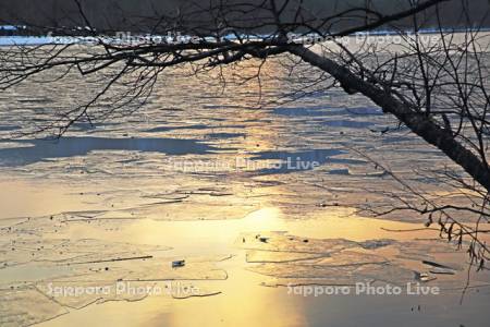 凍る屈斜路湖面