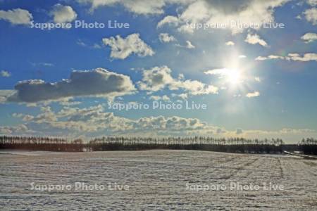 広大な雪の牧草地と青い空