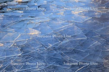 夕日に輝く屈斜路湖の割れ氷