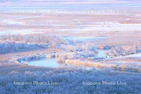霧氷の釧路湿原と朝陽