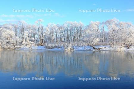 湿原の釧路川と霧氷樹