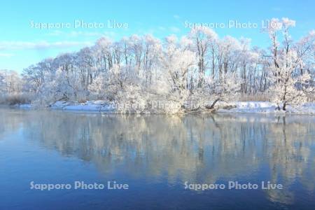 湿原の釧路川と霧氷樹