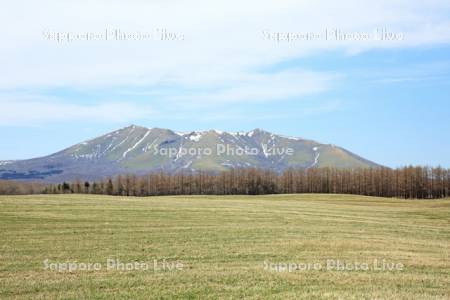 春の牧草地と西別岳