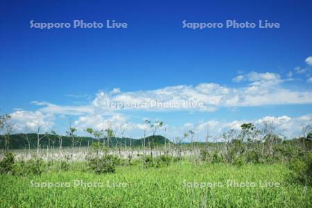 青い空と釧路湿原