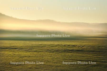 朝霧流れる草原