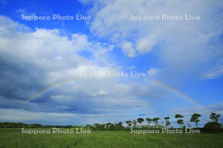 虹と草地