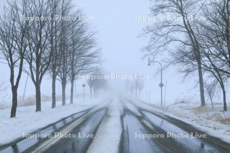 吹雪の日の道路