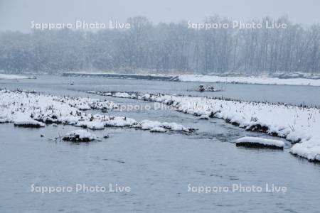 冬の札内川