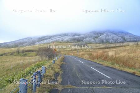 士幌高原と道路
