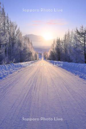 日の出と雪道