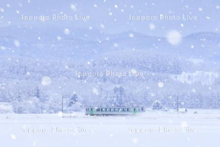 列車と雪
