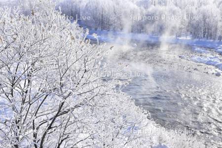 冬の忠別川