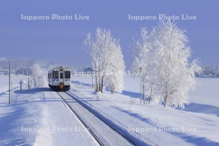 列車と霧氷