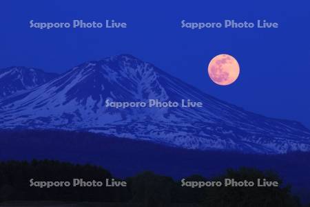 昇る満月と旭岳 ストロベリームーン