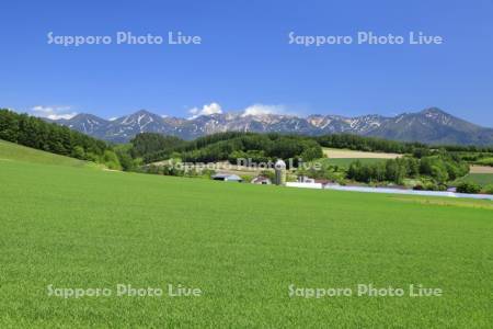 麦畑と農村