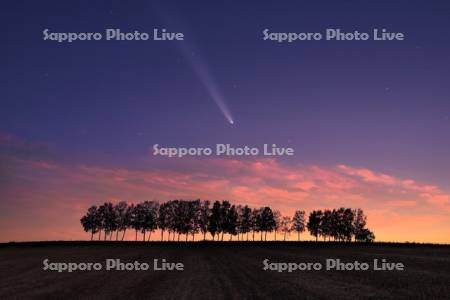 アトラス彗星