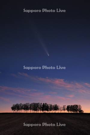 アトラス彗星