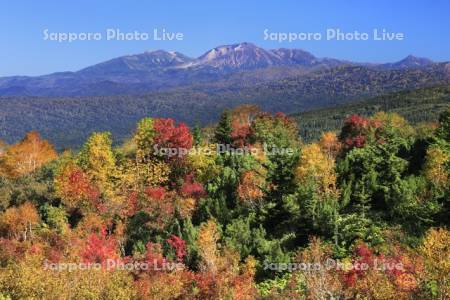 紅葉の十勝岳より旭岳