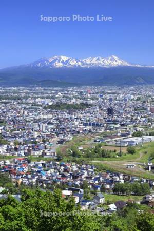 旭川市街地と大雪山遠望