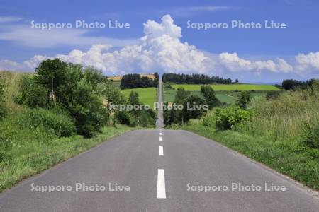 ジェットコースターの路と入道雲