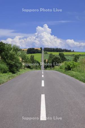 ジェットコースターの路と入道雲