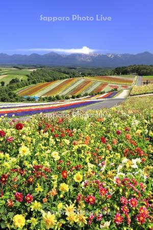 四季彩の丘と十勝岳連峰