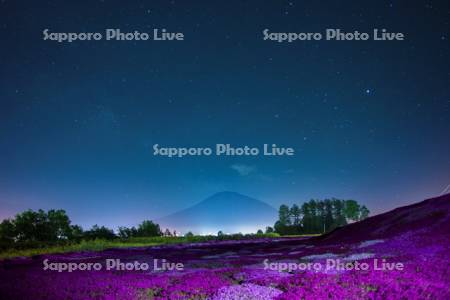 三島さんの芝桜庭園　夜景