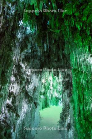 支笏湖氷濤まつり　苔の洞門