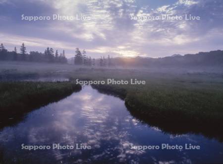 朝霧の神仙沼湿原