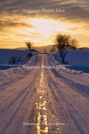 夕陽と冬道