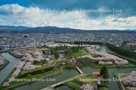 五稜郭タワーより五稜郭公園