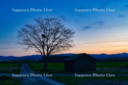 日没後の農道と小屋