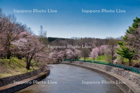 聖台ダム公園宇莫別川