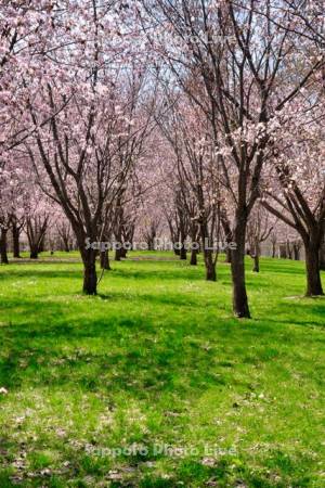 聖台ダム公園