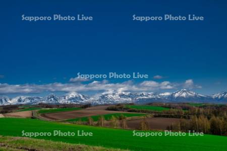 丘と十勝岳連峰