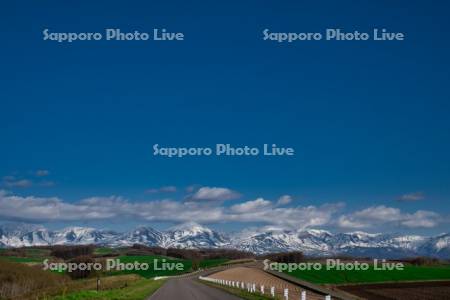 畑と十勝岳連峰