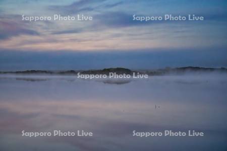 ウトナイ湖の夜明け