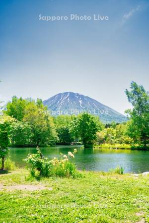 羊蹄姿見池と羊蹄山