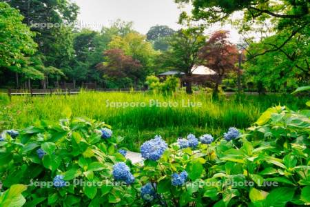 玉泉館跡地公園