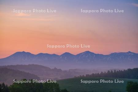 畑と朝焼けの十勝岳連峰