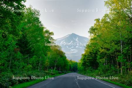 美瑛岳　道道966号線