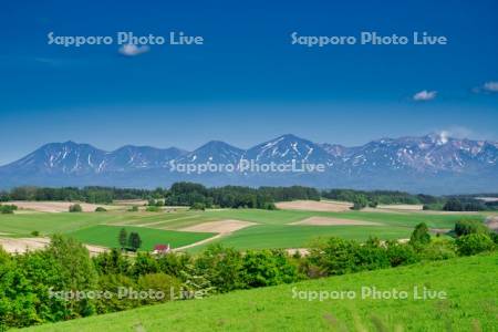 丘の畑と十勝岳連峰