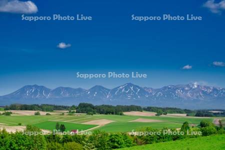 丘の畑と十勝岳連峰