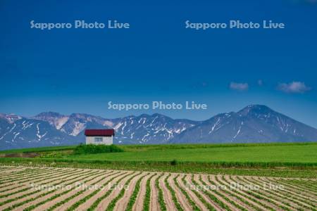 赤い屋根の小屋と十勝岳連峰