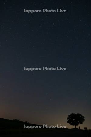 セブンスターの木と星空