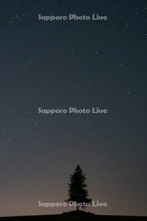 夕日の木の木と星空