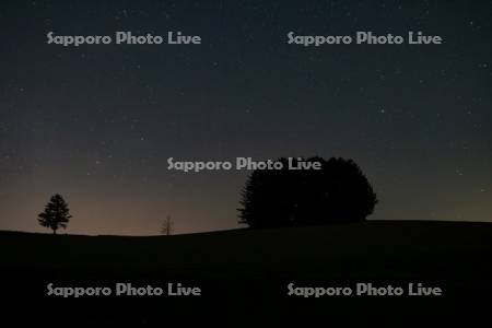 マイルドセブンの丘と星空