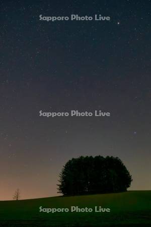 マイルドセブンの丘と星空